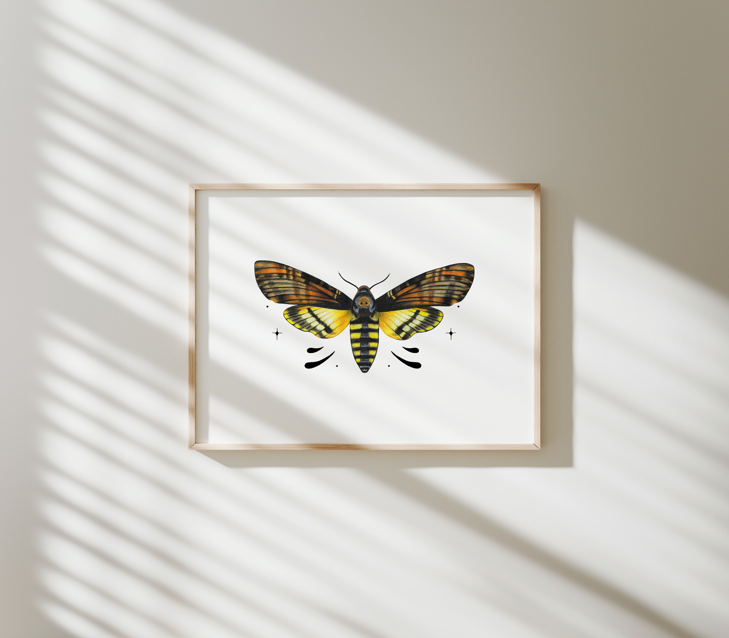 Death's-head Hawkmoth Print