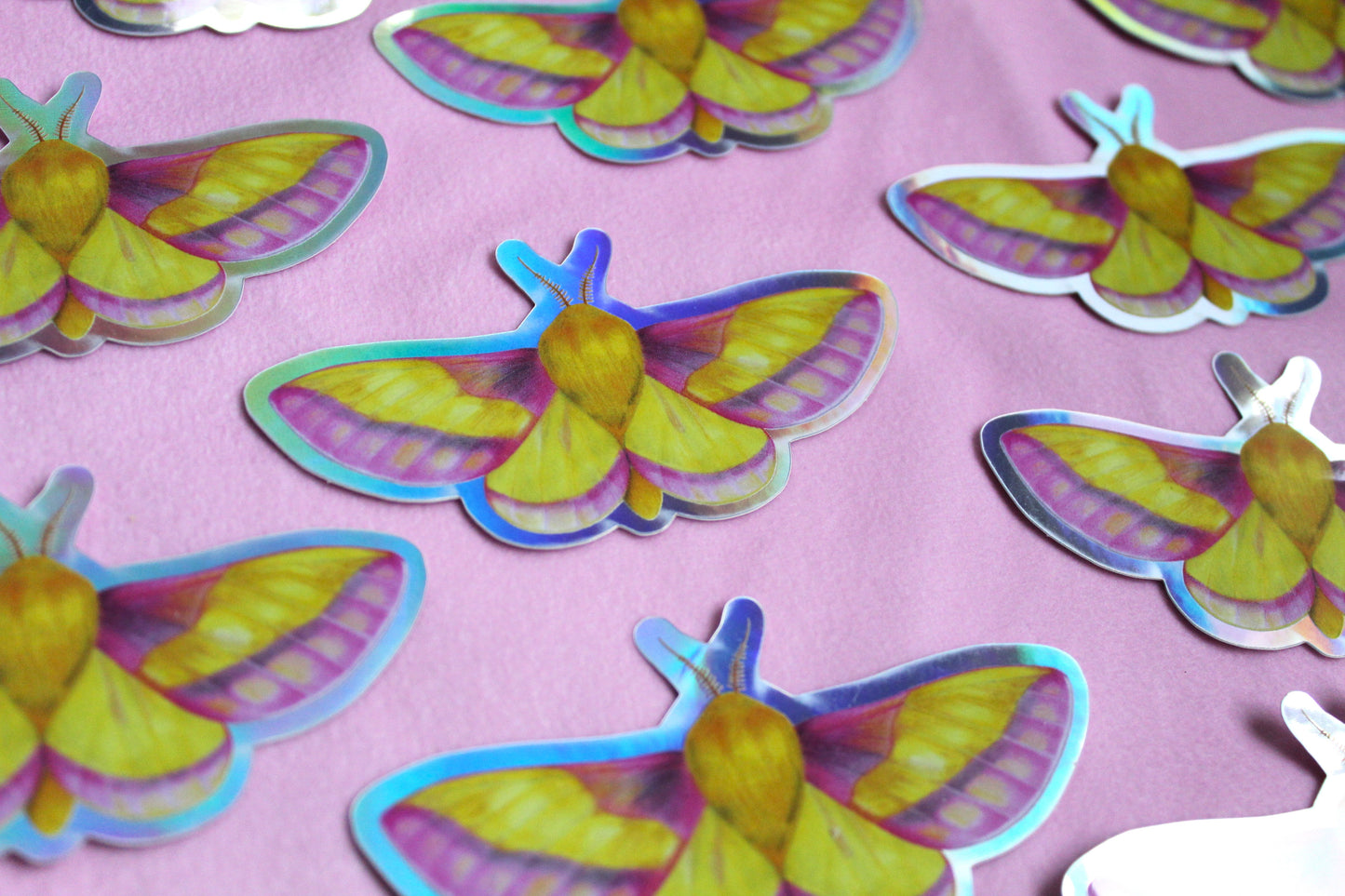 Rosy Maple Moth Holographic Vinyl Sticker
