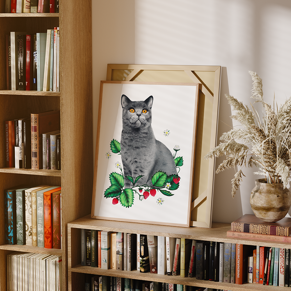 British Shorthair Print