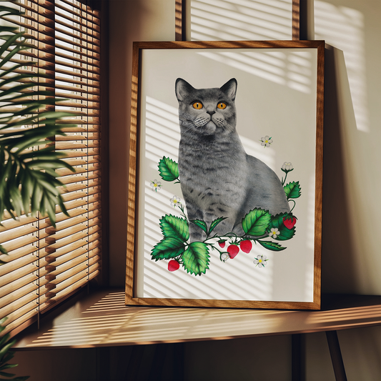 British Shorthair Print