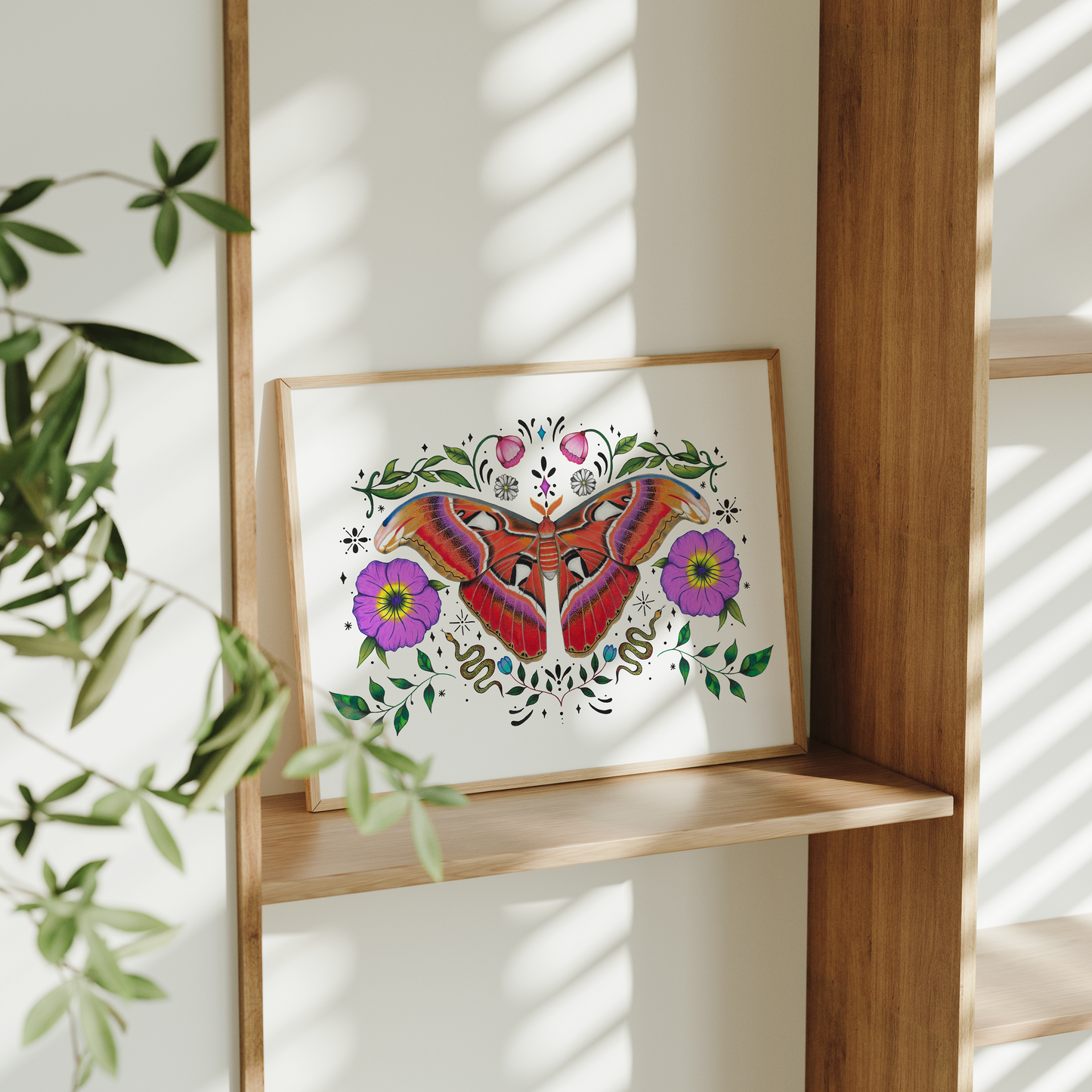 Atlas Moth Print