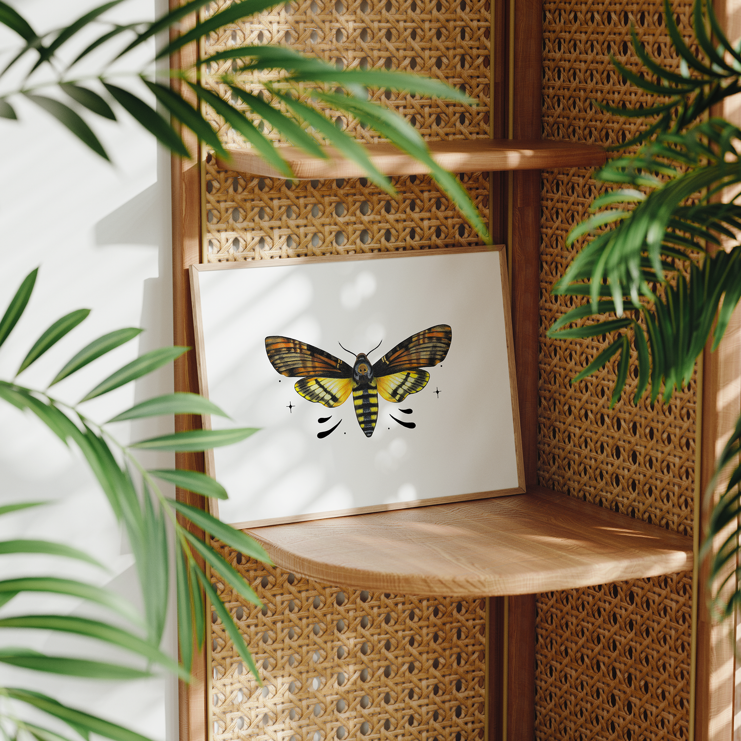 Death's-head Hawkmoth Print