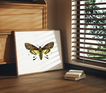 Death's-head Hawkmoth Print