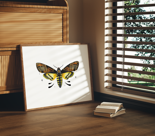 Death's-head Hawkmoth Print