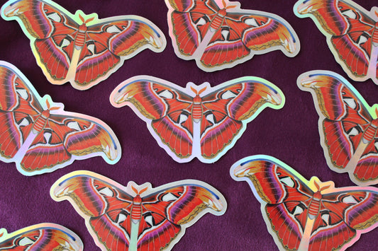 Atlas Moth Holographic Vinyl Sticker