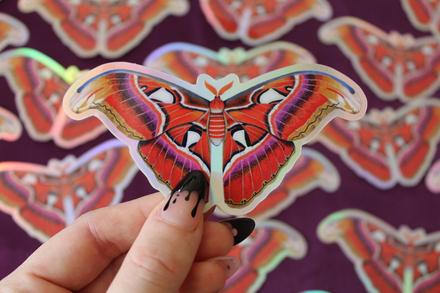 Atlas Moth Holographic Vinyl Sticker