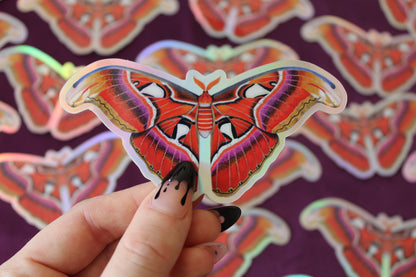 Atlas Moth Holographic Vinyl Sticker