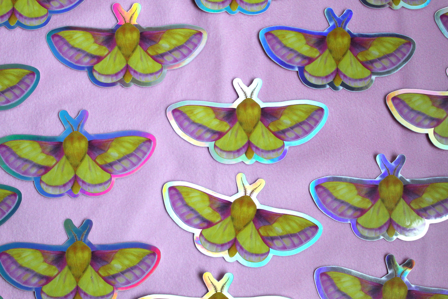 Rosy Maple Moth Holographic Vinyl Sticker