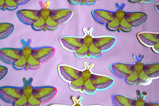 Rosy Maple Moth Holographic Vinyl Sticker