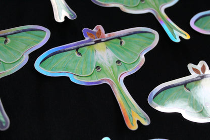 Luna Moth Holographic Vinyl Sticker