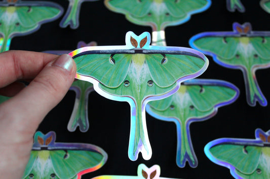 Luna Moth Holographic Vinyl Sticker
