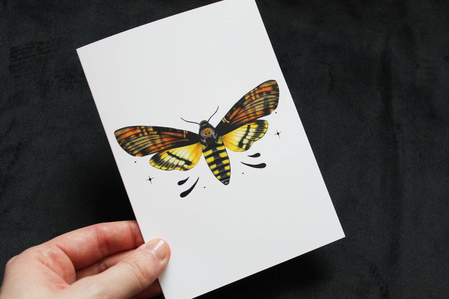 Death's-head Hawkmoth Greeting Card
