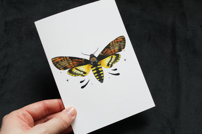 Death's-head Hawkmoth Greeting Card