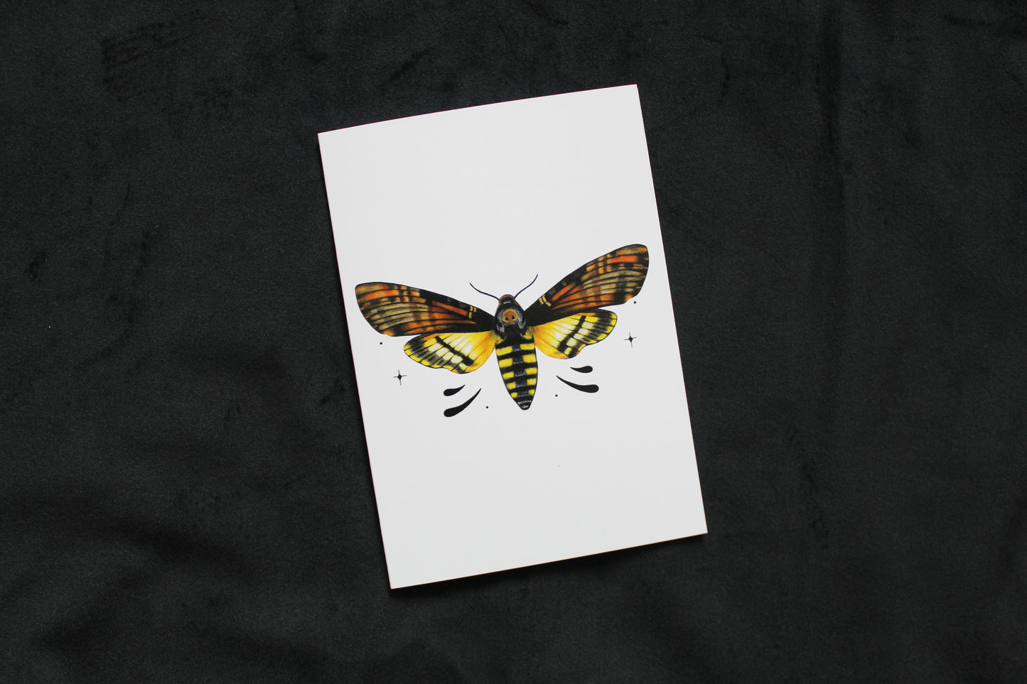 Death's-head Hawkmoth Greeting Card