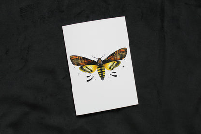 Death's-head Hawkmoth Greeting Card