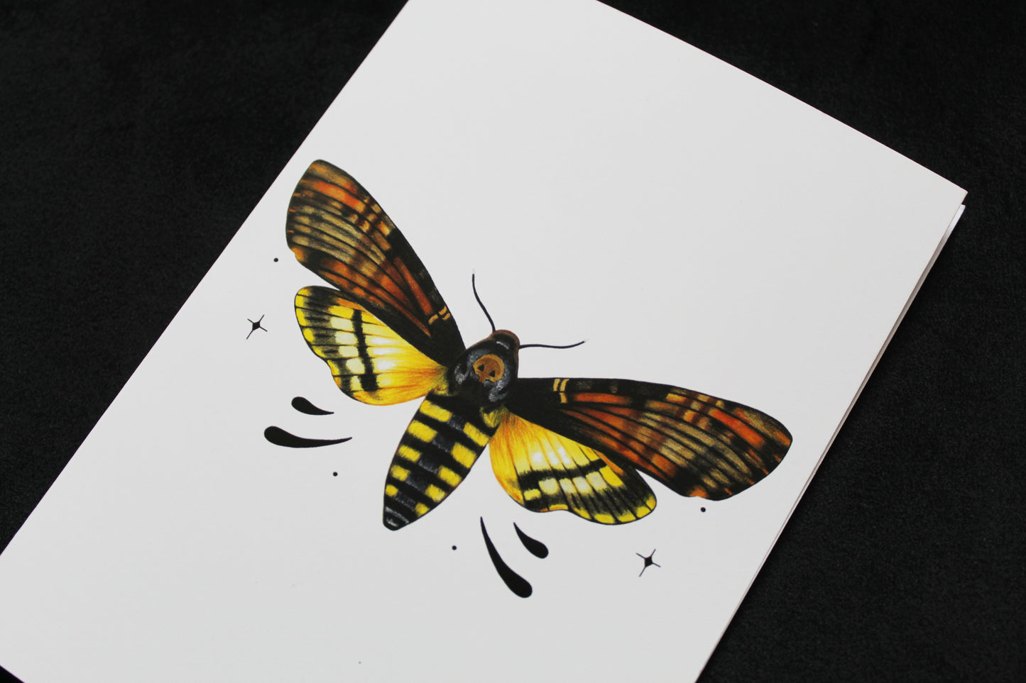 Death's-head Hawkmoth Greeting Card