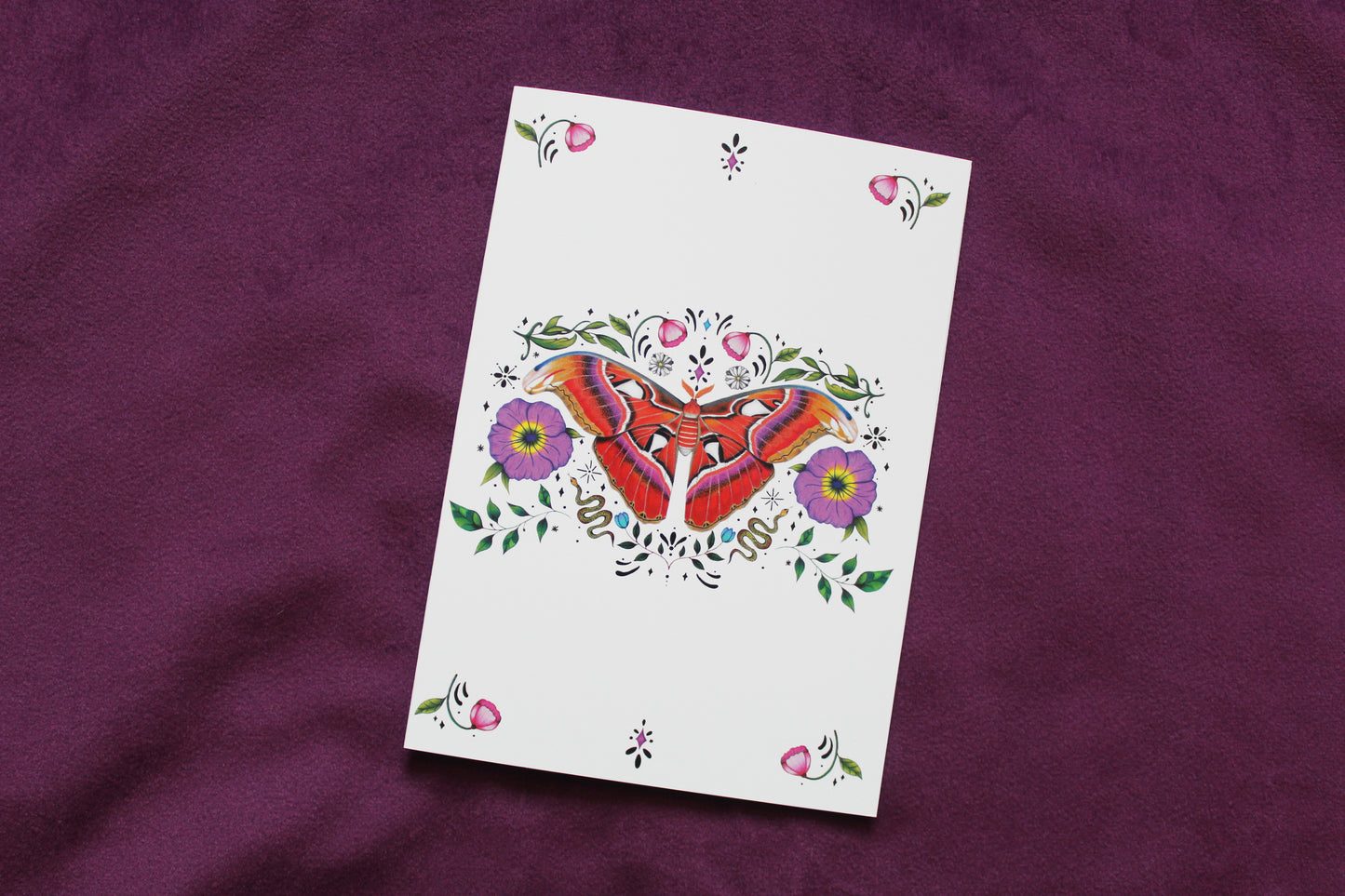Atlas Moth Greeting Card