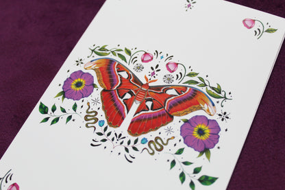 Atlas Moth Greeting Card