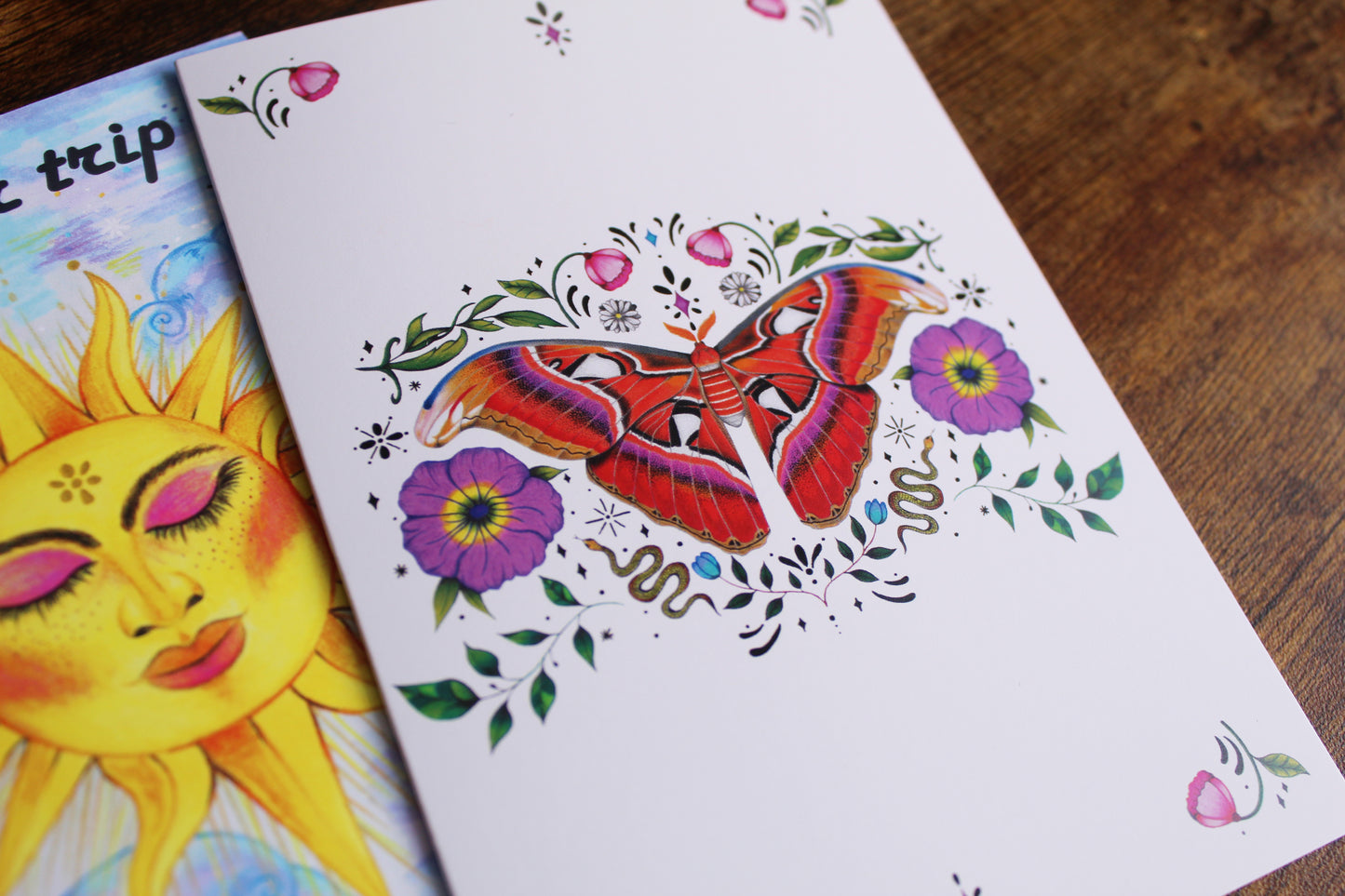 Atlas Moth Greeting Card