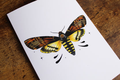 Death's-head Hawkmoth Greeting Card