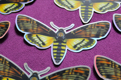 Death's-head Hawkmoth Holographic Vinyl Sticker