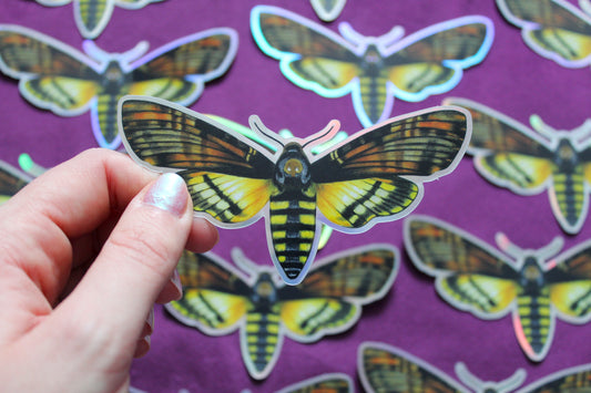 Death's-head Hawkmoth Holographic Vinyl Sticker