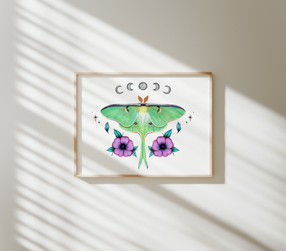 Luna Moth Print