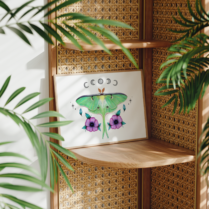 Luna Moth Print