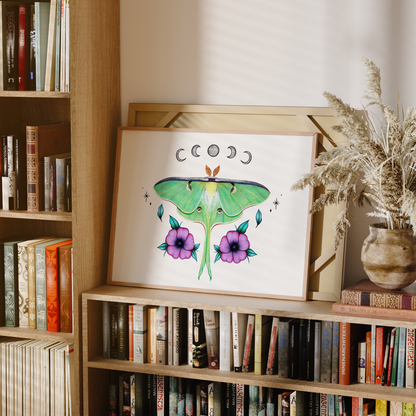 Luna Moth Print