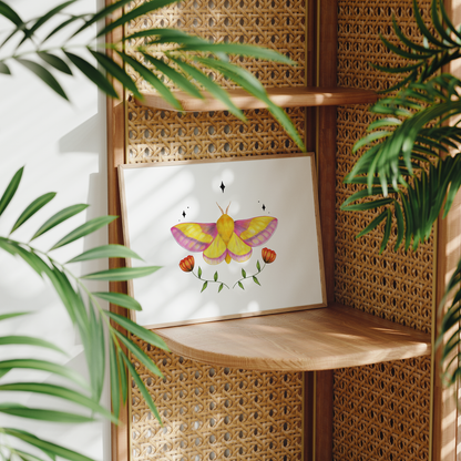 Rosy Maple Moth Print