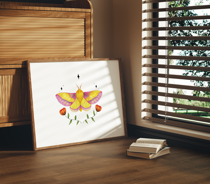 Rosy Maple Moth Print